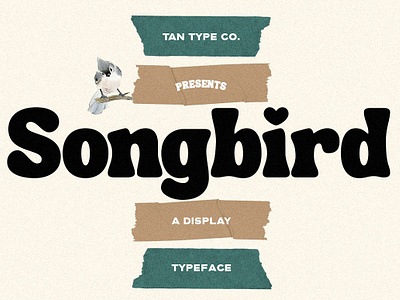 TAN - SONGBIRD bold font display font display type funky font groovy font groovy retro font mid century mid century modern mid century modern font modern font retro type tan songbird vintage font vintage type