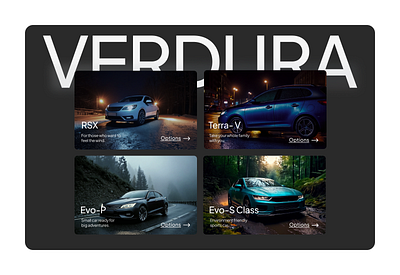 Verdura with Vision! design minimal ui ux web