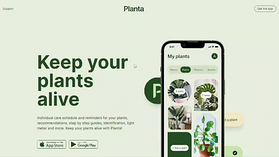 Planta grafic design site ui ux web