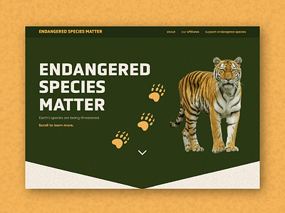 Endangered Species Campaign Webpage animals bright campaign education endangered species figma homepage identity landing page nature species ui ui ux user experience user interface ux visual design web design webpage website