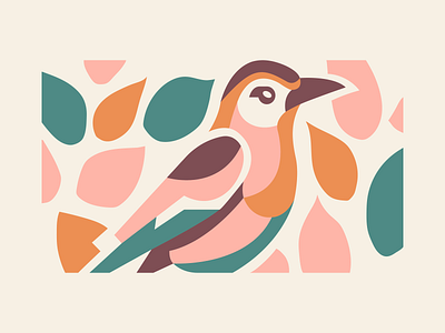 Finch illustration adobe bird finch illustration illustrator minimalistic nature outdoor retro vintage