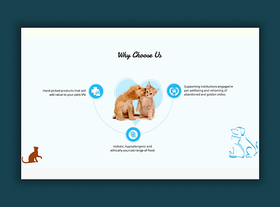 Why Choose Us Pets Webdesign 3d animation branding dogdesign figma graphic design logo modern motion graphics petsdesign ui unique web websitedesign whychooseusdesign