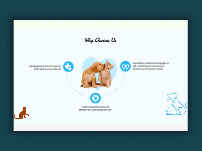 Why Choose Us Pets Webdesign 3d animation branding dogdesign figma graphic design logo modern motion graphics petsdesign ui unique web websitedesign whychooseusdesign