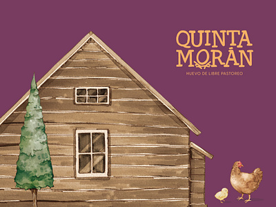 Quinta Morán Organic Eggs - Branding branding graphic design illustration logo