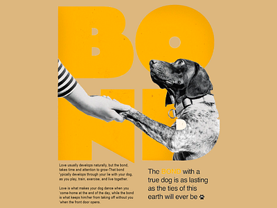 Poster: The Unbreakable Bond with a Loyal Friend animal bond bond canine companionship connection devotion dog dog lover emotional bond friendship friendship goals furry friend happiness human and dog love loyalty pet pet lover trust unconditional love