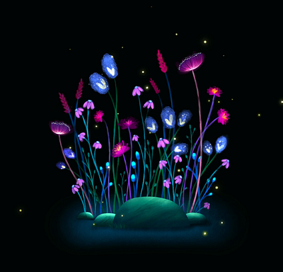 Fireflies animation fireflies flower flowers illustration motion night procreate procreatedreams