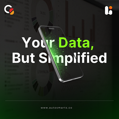 Your Data But Simplified