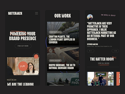 Natterjack | Responsive branding design logo mobile responsive typography ui user experinece user interface ux web website