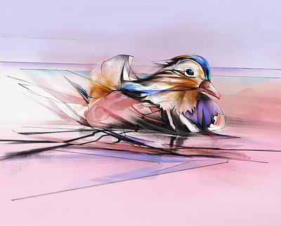 Duck from the Wild project adobe design drawing duck illustration pencil pink