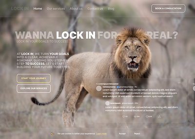 LOCK IN app goal interface lion plan roadmap ui uiux ux web website