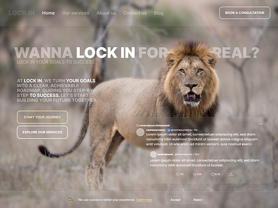 LOCK IN app goal interface lion plan roadmap ui uiux ux web website