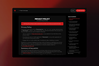 Pomomato - privacy policies page (concept) concept document minimal policies privacy sketch text ui