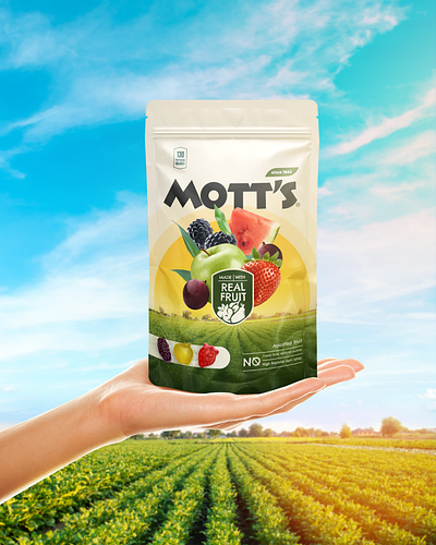 MOTT's project rebrand brand branding design design community design portfolio design trends graphic design illustration logo ui