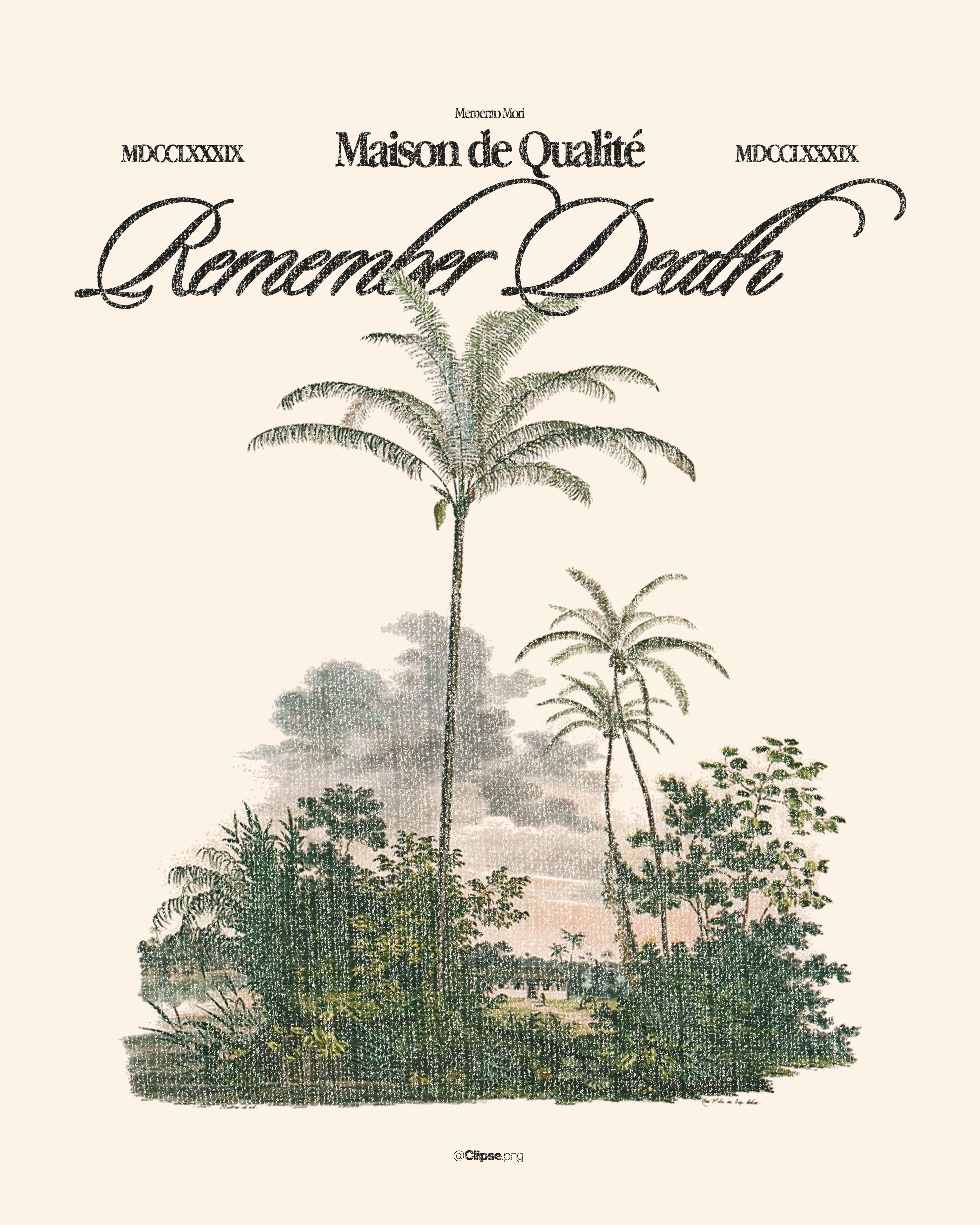 Memento Mori | Remember Death Graphic Tee appreldesign branding clothing design graphic design palm streetwear tee vintage