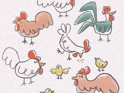 Chickens animals barn chickens chicks farm hens illustration rooster sketch