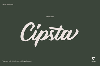 Cipsta Script Font branding design font font design graphic design illustration logo typeface typography ui