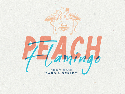 Peach Flamingo font duo font fontduo handletter handlettering sans script typeface typography