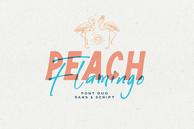 Peach Flamingo font duo font fontduo handletter handlettering sans script typeface typography