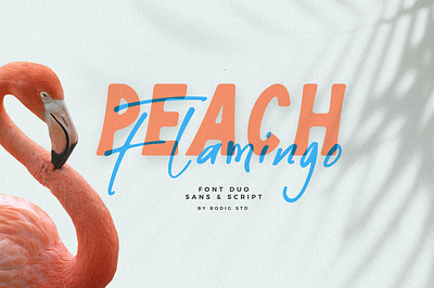 Peach Flamingo font duo font fontduo handletter handlettering sans script typeface typography