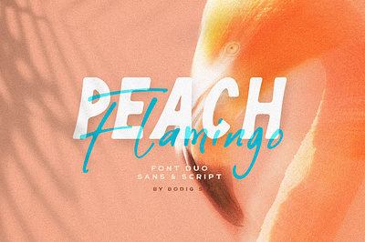 Peach Flamingo font duo font fontduo handletter handlettering sans script typeface typography