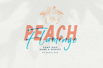 Peach Flamingo font duo font fontduo handletter handlettering sans script typeface typography