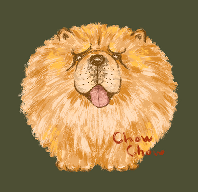 Chow Chow animal character design chow chow dog illustration pet puppy