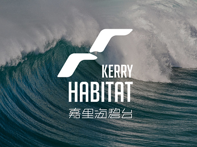 The Kerry Habitat Brand Visual Identity_Plan B branding design graphic design logo typography