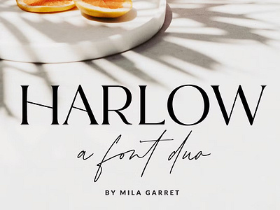 Harlow Serif Script Modern Font Duo calligraphy font script font