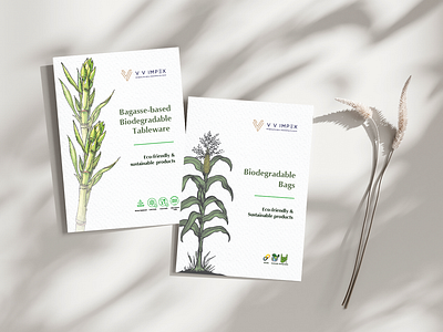 Biodegradable Bags Brochure biodegradable brochure graphic design print