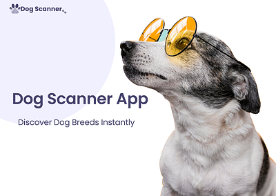 🐾 Dog Scanner App - Case Study Preview