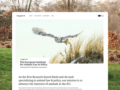 Animal Law Europe breakdance design plesk ui ux web design website wordpress