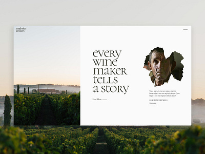 Vineyard ui vineyard vino webdesign wine wordpress