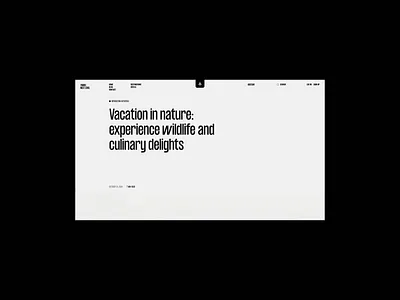 Travel Next Level [Article] art direction article blog branding design figma flights interaction layout minimal scroll travel ui uidesign uiux web design webdesign webflow website website design