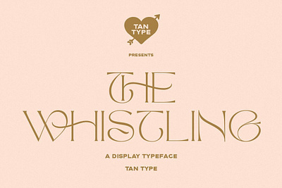 TAN - The Whistling 60s font 70s font 70s retro 70s vintage display font elegant font elegant serif fashion font feminine luxury font modern serif retro font serif typeface stylish font tan the whistling trendy font vintage font wedding font wedding invitation font