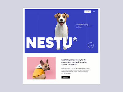 Nestu: Award-nominated Website design design graphic design illustration typography ui ux vector website