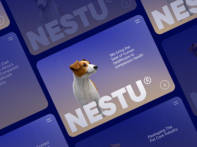 Nestu: Award-nominated Website design design graphic design illustration typography ui ux vector website