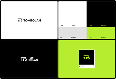 Visual Guide TomBolan branding color design graphic design logo