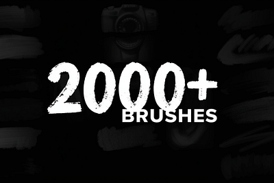 Over 2000+ Procreate Brushes brushes font sans serif illustration procreate vector