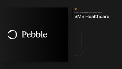 Pebble SMB Healthcare branding healthcare ui webflow website design