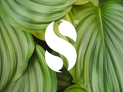 Letter S Logo Design beauty logo brand brand identity branding design graphic design leaf logo letter s logo logo design professional logo s leaf s logo