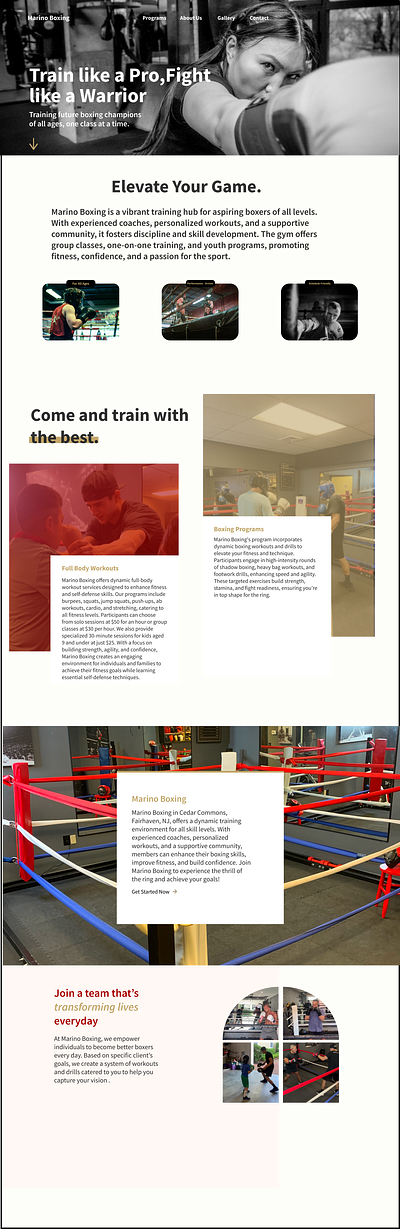 Marino Boxing Website Design