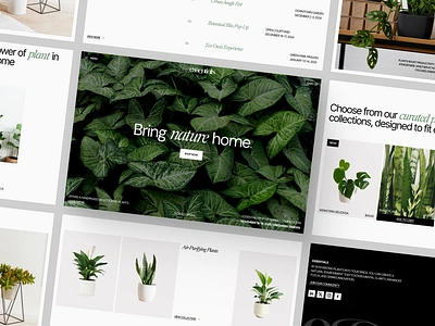 Essentials - Plant E-commerce Landing Page Exploration decoration interior landing page marketplace minimal nature online shop plan ui ui design uiux web design website