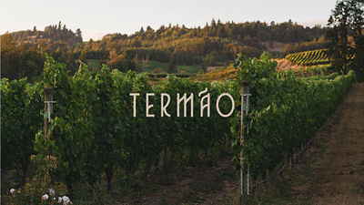 Termão brand design brand identity brand strategy branding conceptualization creative direction design graphic design logo restaurant winery