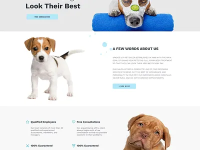 dog caring web landing page branding ecommerce graphic design ui