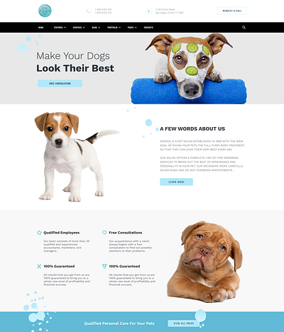 dog caring web landing page branding ecommerce graphic design ui