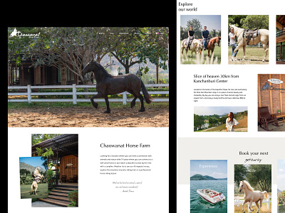 Horse Farm Website Landing Page branding creative design graphic design illustration logo ui ux web website