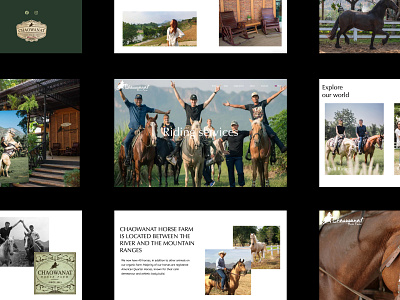 Horse Ranch Responsive Website branding creative design graphic design illustration logo ui ux web website