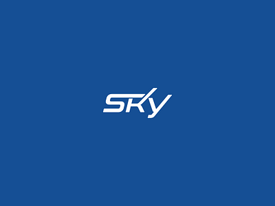 Sky Plane Logo air branding company concept design graphic design illustration logo modern plane simple sky wordmark