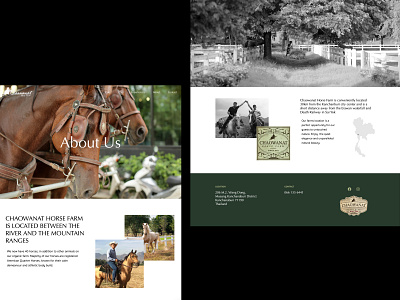 Responsive About Us Page for Horse Farm branding creative design graphic design illustration logo ui ux web website