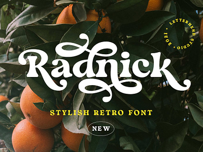 Radnick - Stylish Retro Font 60s font 70s font 80s font classic font fashion groovy instagram font magazine old school font radnick stylish retro font retro font swash font vintage font vintage serif